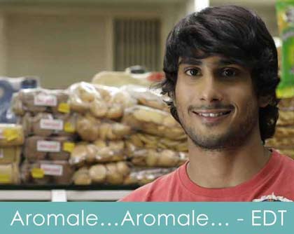aromale aromale lyrics ek deewana tha