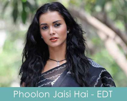 phoolon jaisi hai ek larki lyrics ek deewana tha