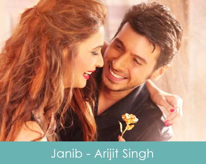 Aaye Jaaye Teri Janib Lyrics Arijit Singh 2015