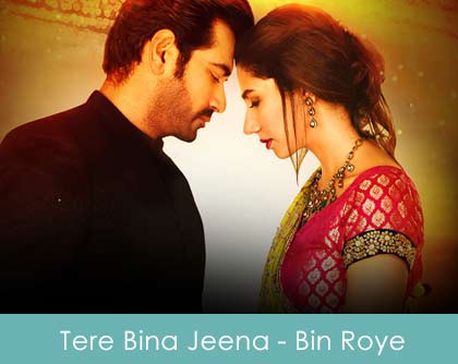 Tere Bina Jeena Lyrics Rahat Fateh Ali Khan - Bin Roye 2015