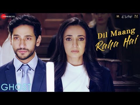 Dil Mang Raha Hai Lyrics
