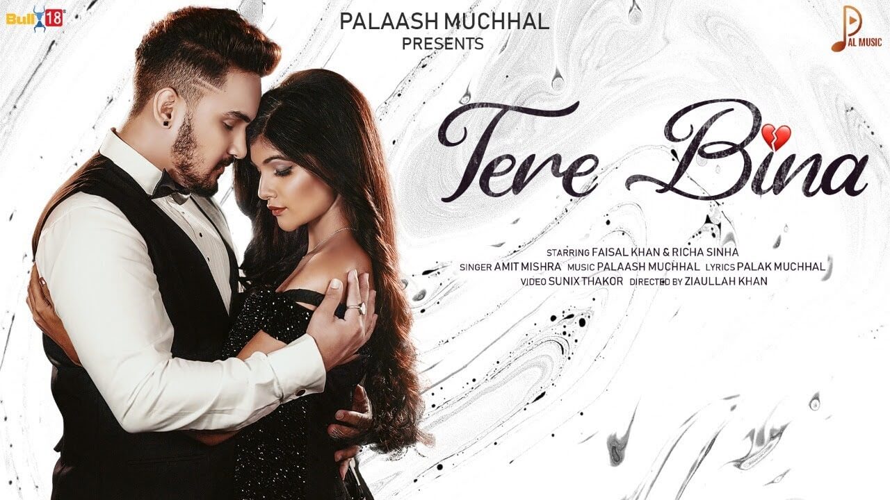 Tere Bina Song Lyrics - Amit Mishra (1)