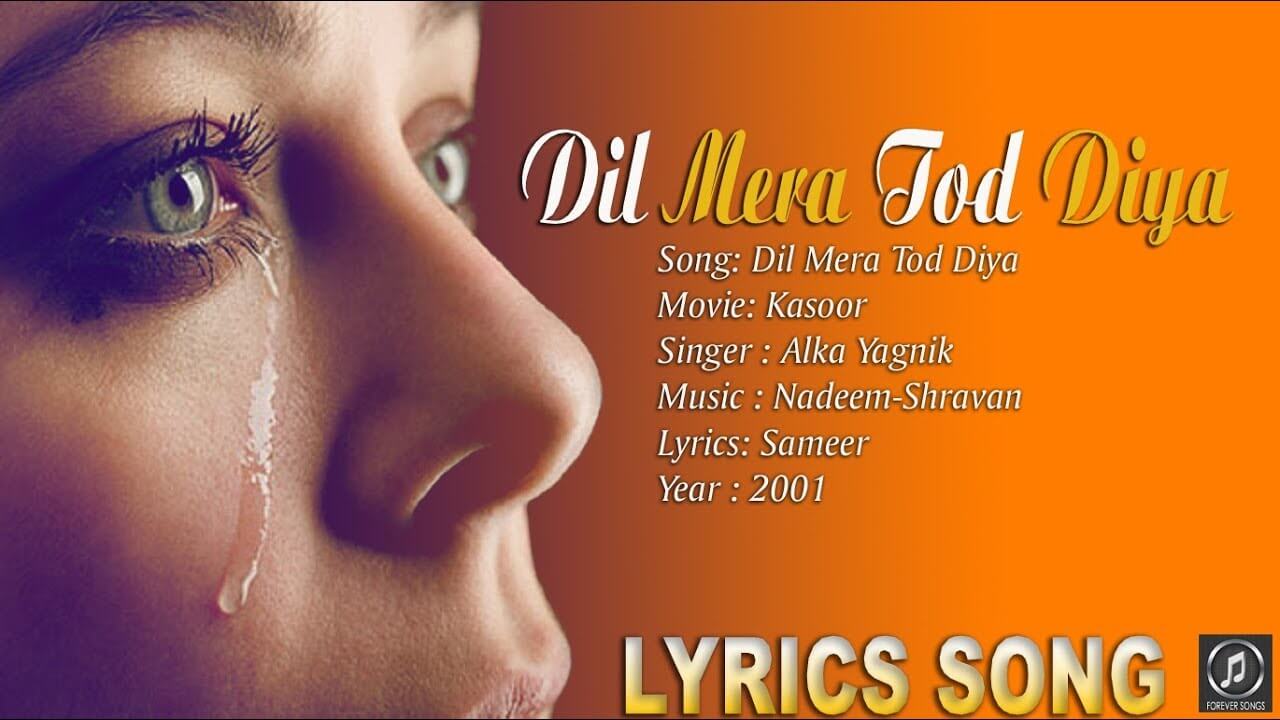 Tumne Mera Dil Tod Diya Meaning In English