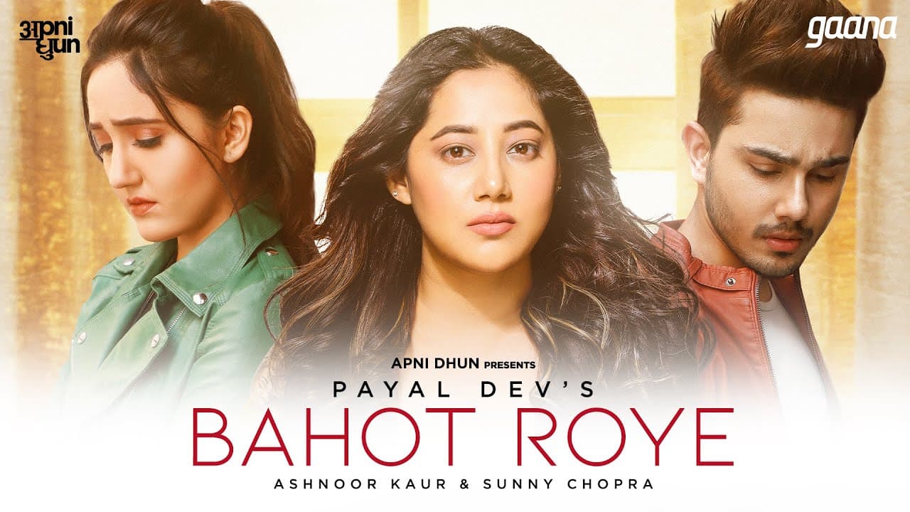 Bahot Roye Song Lyrics - Payal Dev (1)