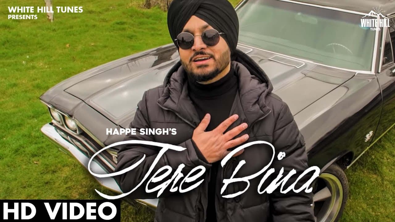 Tere Bina Song Lyrics - Happe Singh (1)